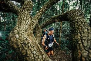 BIB: 
                            <button type="button" onclick="openModal(25393135)" class="btn btn-primary btn-sm float-right btn-popup" data-toggle="modal" data-target=".modal-high-quality">
                        <i class="fas fa-shopping-cart"></i> Add to Cart
                    </button>
                                            <button type="button" onclick="isThisMe(25393135, true)" class="btn btn-success btn-sm float-right btn-popup btn-isme hidden" data-toggle="tooltip" data-placement="bottom" title="นี่คือรูปของคุณใช่ไหม คลิกที่นี่เพื่อเอาเข้าอัลบั้ม">
                        <i class="fas fa-plus"></i> Add to album
                    </button>
                    <button type="button" onclick="isThisMe(25393135, false)" class="btn btn-warning btn-sm float-right btn-popup btn-isnotme hidden">
                        <i class="fas fa-ban"></i> Remove from album
                    </button>